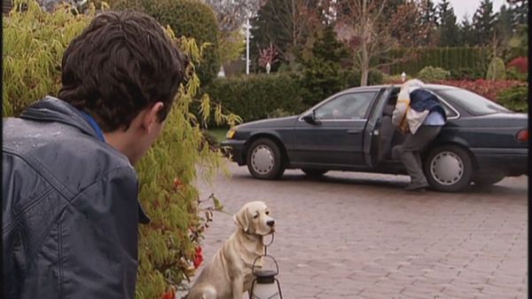 Click to view full size image
==============
2005-Jay-Baruchel-in-Fetching-Cody-screencaps-0311.jpg 2005-Jay-Baruchel-in-Fetching-Cody-screencaps-0311.jpg