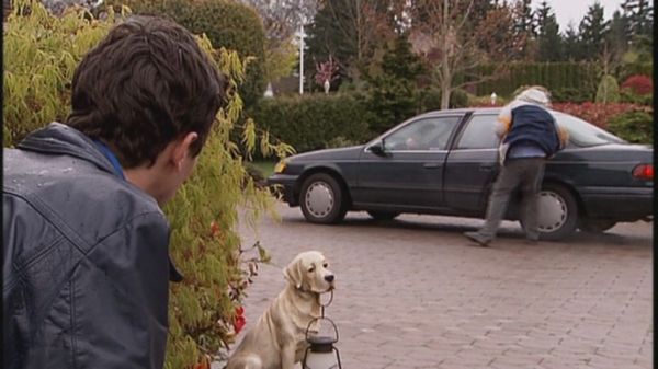 Click to view full size image
==============
2005-Jay-Baruchel-in-Fetching-Cody-screencaps-0312.jpg 2005-Jay-Baruchel-in-Fetching-Cody-screencaps-0312.jpg