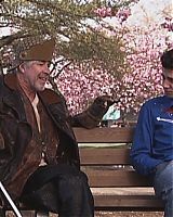 2005-Jay-Baruchel-in-Fetching-Cody-screencaps-0277.jpg